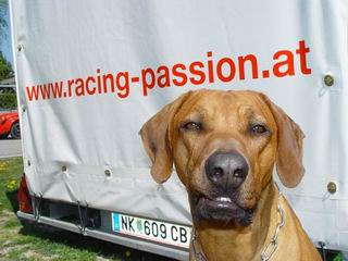 Racing Passion